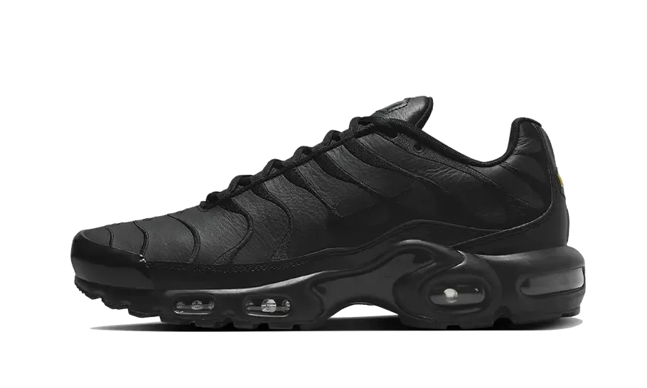 Nike Air Max Plus Triple Black Leather